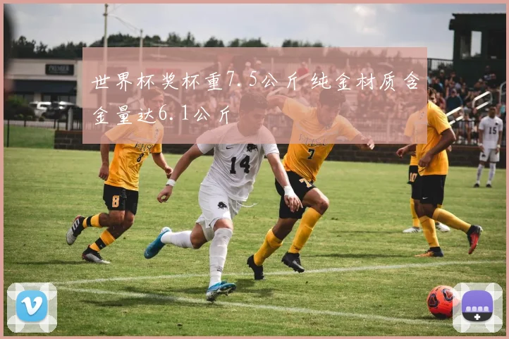 世界杯奖杯重7.5公斤 纯金材质含金量达6.1公斤